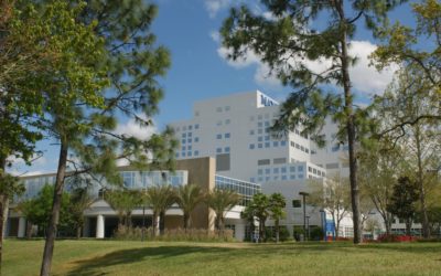 Mayo Clinic in Florida requests rezoning to expand Jacksonville campus by 210 acres