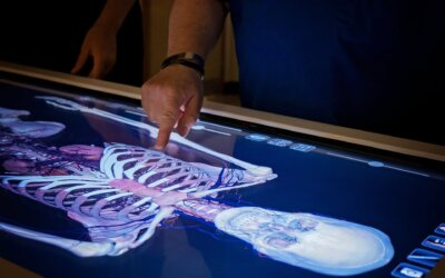 No ‘ick’ factor: JU’s 3D learning tables provide cadaver-free method to learning anatomy